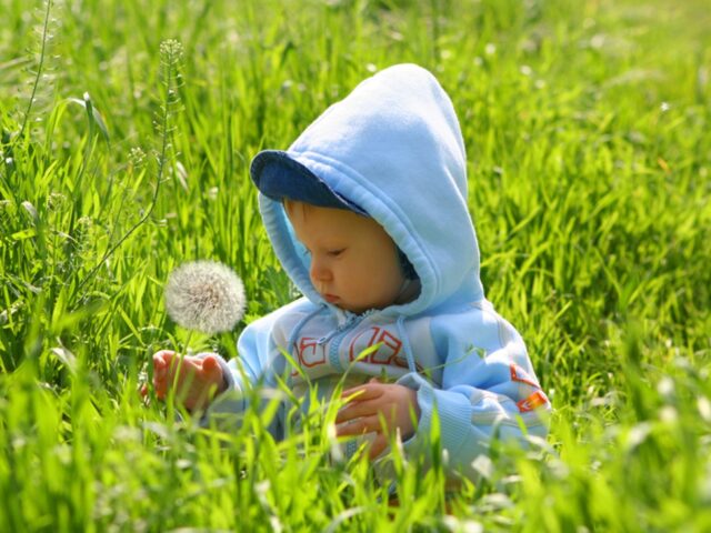 A World of Few Children