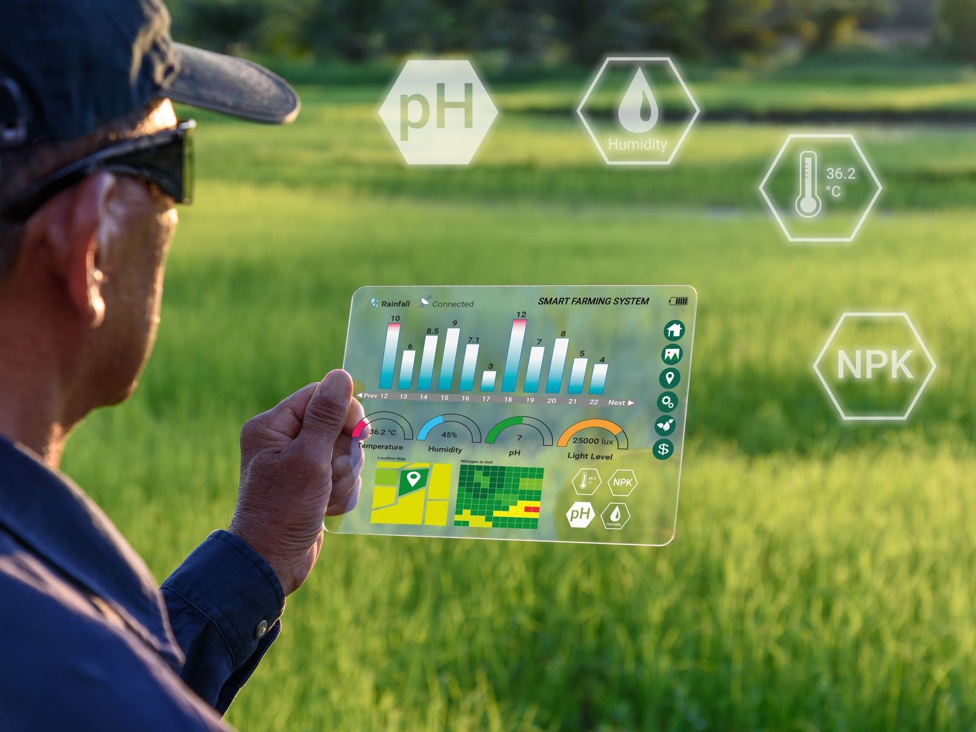 Three Scenarios for the Post-Pandemic Future